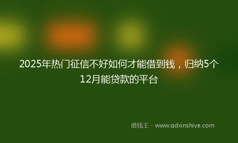 2025年热门征信不好如何才能借到钱，归纳5个12月能贷款的平台