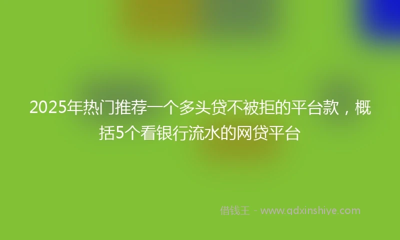 2025年热门推荐一个多头贷不被拒的平台款，概括5个看银行流水的网贷平台