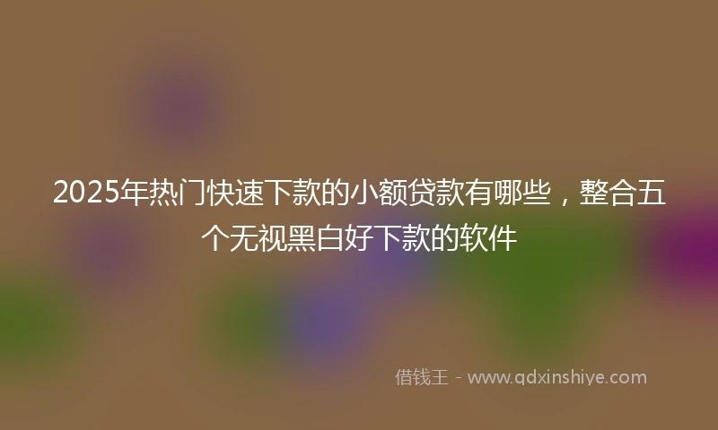 2025年热门快速下款的小额贷款有哪些，整合五个无视黑白好下款的软件