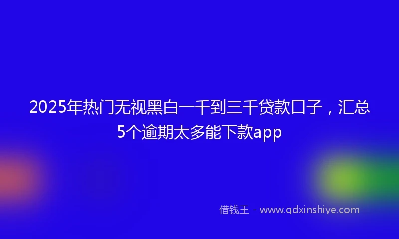 2025年热门无视黑白一千到三千贷款口子，汇总5个逾期太多能下款app