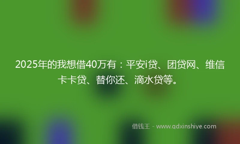 2025年的我想借40万有：平安i贷、团贷网、维信卡卡贷、替你还、滴水贷等。