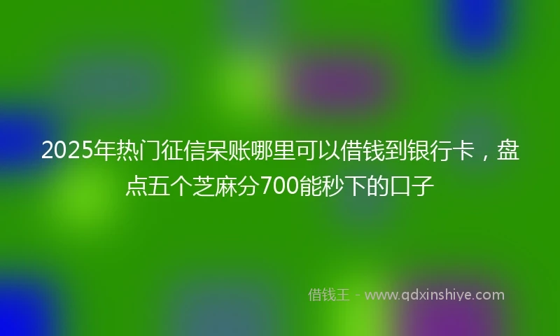 2025年热门征信呆账哪里可以借钱到银行卡，盘点五个芝麻分700能秒下的口子