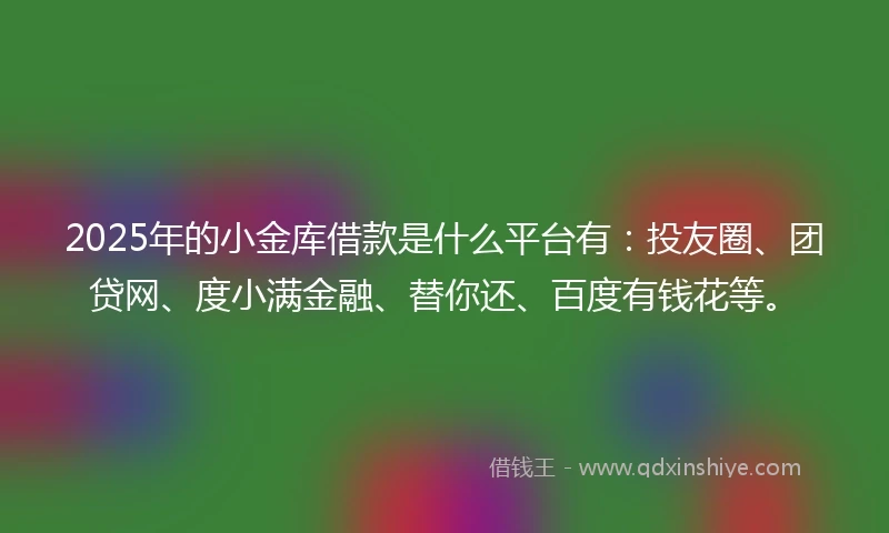 2025年的小金库借款是什么平台有：投友圈、团贷网、度小满金融、替你还、百度有钱花等。