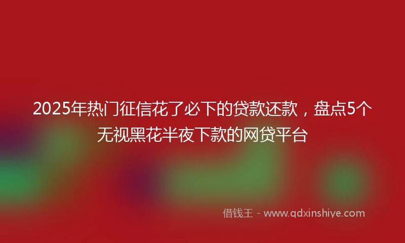 2025年热门征信花了必下的贷款还款，盘点5个无视黑花半夜下款的网贷平台