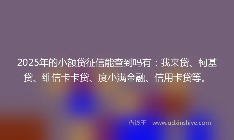 2025年的小额贷征信能查到吗有：我来贷、柯基贷、维信卡卡贷、度小满金融、信用卡贷等。