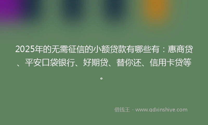 2025年的无需征信的小额贷款有哪些有：惠商贷、平安口袋银行、好期贷、替你还、信用卡贷等。