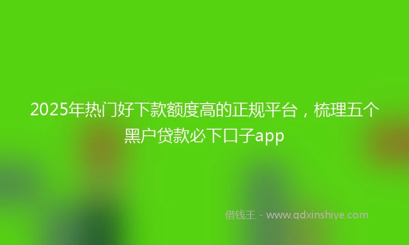 2025年热门好下款额度高的正规平台，梳理五个黑户贷款必下口子app