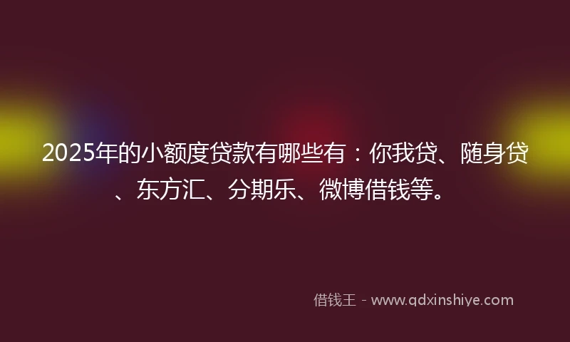 2025年的小额度贷款有哪些有：你我贷、随身贷、东方汇、分期乐、微博借钱等。