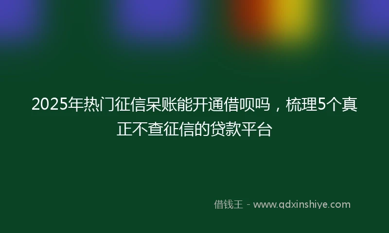 2025年热门征信呆账能开通借呗吗，梳理5个真正不查征信的贷款平台