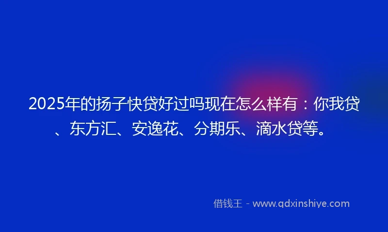 2025年的扬子快贷好过吗现在怎么样有：你我贷、东方汇、安逸花、分期乐、滴水贷等。