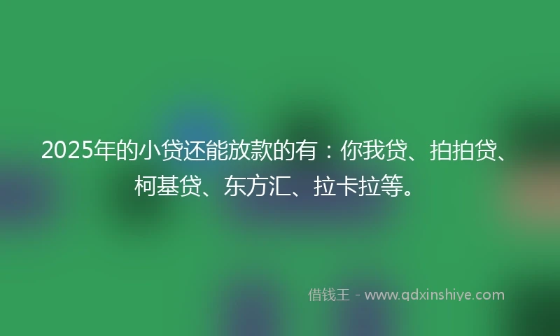 2025年的小贷还能放款的有:你我贷、拍拍贷、柯基贷、东方汇、拉卡拉等。