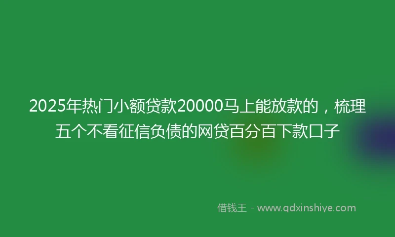 2025年热门小额贷款20000马上能放款的，梳理五个不看征信负债的网贷百分百下款口子