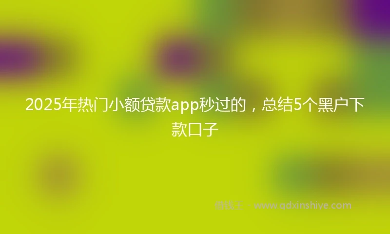 2025年热门小额贷款app秒过的，总结5个黑户下款口子