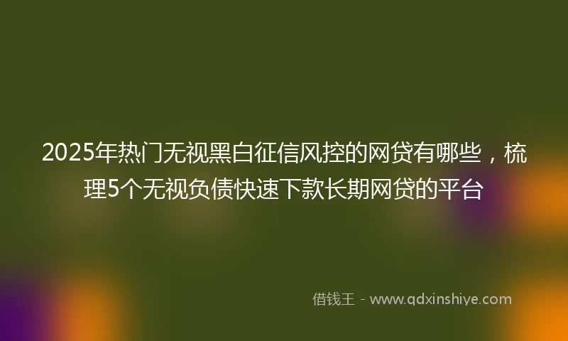 2025年热门无视黑白征信风控的网贷有哪些，梳理5个无视负债快速下款长期网贷的平台