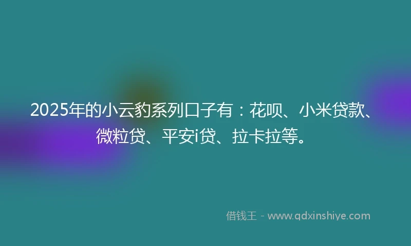 2025年的小云豹系列口子有：花呗、小米贷款、微粒贷、平安i贷、拉卡拉等。