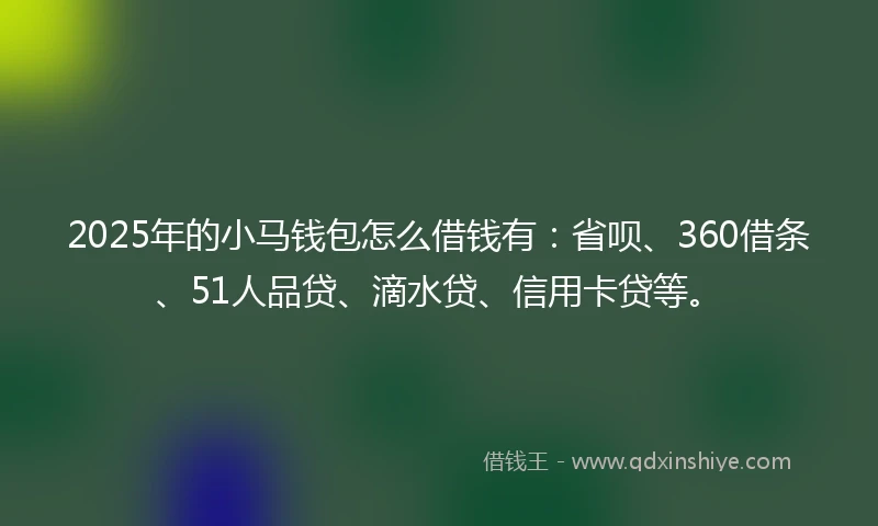 2025年的小马钱包怎么借钱有：省呗、360借条、51人品贷、滴水贷、信用卡贷等。
