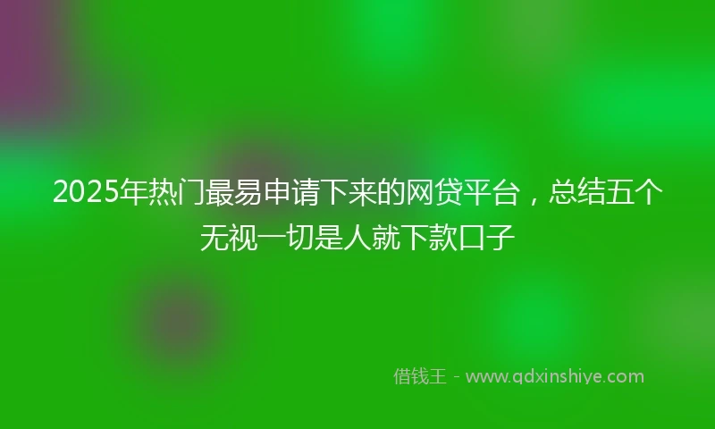 2025年热门最易申请下来的网贷平台，总结五个无视一切是人就下款口子