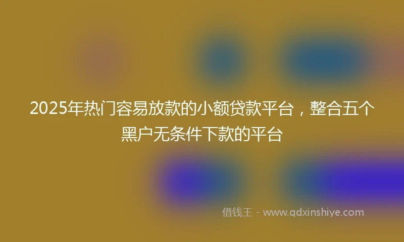 2025年热门容易放款的小额贷款平台，整合五个黑户无条件下款的平台