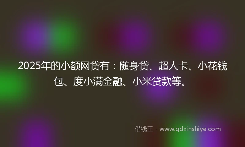 2025年的小额网贷有：随身贷、超人卡、小花钱包、度小满金融、小米贷款等。