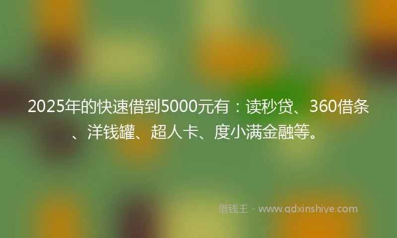 2025年的快速借到5000元有：读秒贷、360借条、洋钱罐、超人卡、度小满金融等。