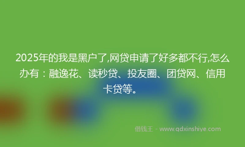 2025年的我是黑户了,网贷申请了好多都不行,怎么办有：融逸花、读秒贷、投友圈、团贷网、信用卡贷等。