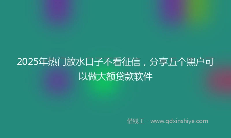 2025年热门放水口子不看征信，分享五个黑户可以做大额贷款软件