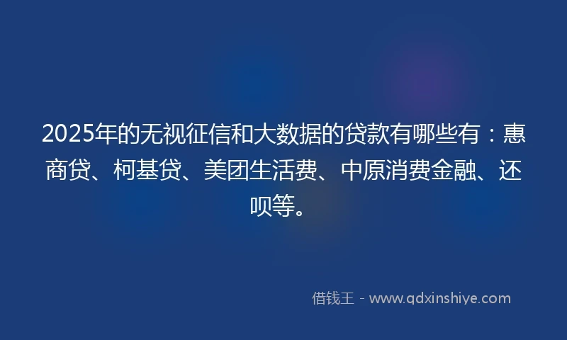 2025年的无视征信和大数据的贷款有哪些有：惠商贷、柯基贷、美团生活费、中原消费金融、还呗等。
