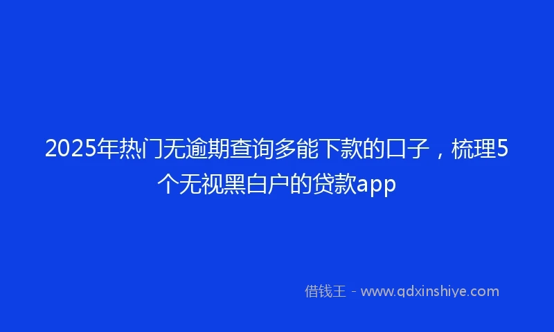 2025年热门无逾期查询多能下款的口子，梳理5个无视黑白户的贷款app
