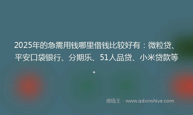 2025年的急需用钱哪里借钱比较好有：微粒贷、平安口袋银行、分期乐、51人品贷、小米贷款等。