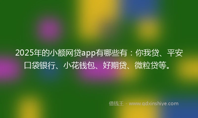 2025年的小额网贷app有哪些有：你我贷、平安口袋银行、小花钱包、好期贷、微粒贷等。
