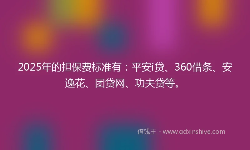 2025年的担保费标准有：平安i贷、360借条、安逸花、团贷网、功夫贷等。