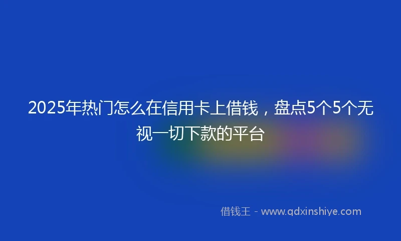 2025年热门怎么在信用卡上借钱，盘点5个5个无视一切下款的平台