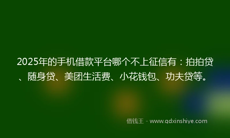 2025年的手机借款平台哪个不上征信有：拍拍贷、随身贷、美团生活费、小花钱包、功夫贷等。