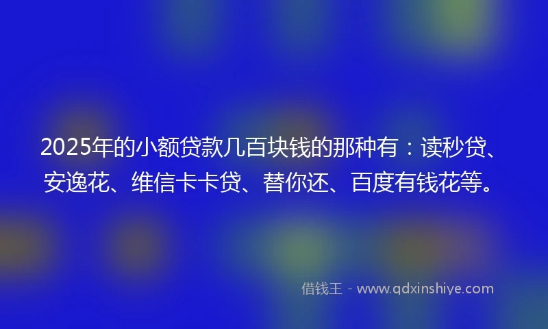 2025年的小额贷款几百块钱的那种有：读秒贷、安逸花、维信卡卡贷、替你还、百度有钱花等。