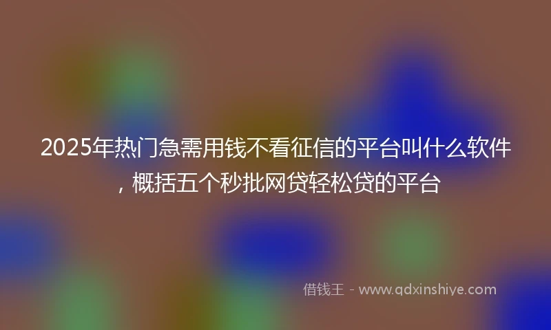 2025年热门急需用钱不看征信的平台叫什么软件，概括五个秒批网贷轻松贷的平台