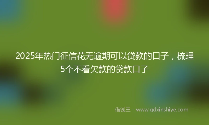 2025年热门征信花无逾期可以贷款的口子，梳理5个不看欠款的贷款口子