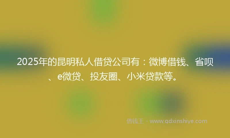 2025年的昆明私人借贷公司有：微博借钱、省呗、e微贷、投友圈、小米贷款等。