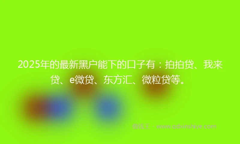 2025年的最新黑户能下的口子有：拍拍贷、我来贷、e微贷、东方汇、微粒贷等。