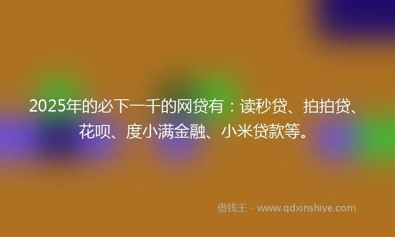 2025年的必下一千的网贷有：读秒贷、拍拍贷、花呗、度小满金融、小米贷款等。