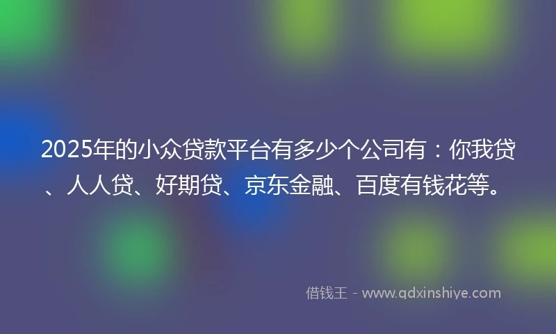 2025年的小众贷款平台有多少个公司有：你我贷、人人贷、好期贷、京东金融、百度有钱花等。