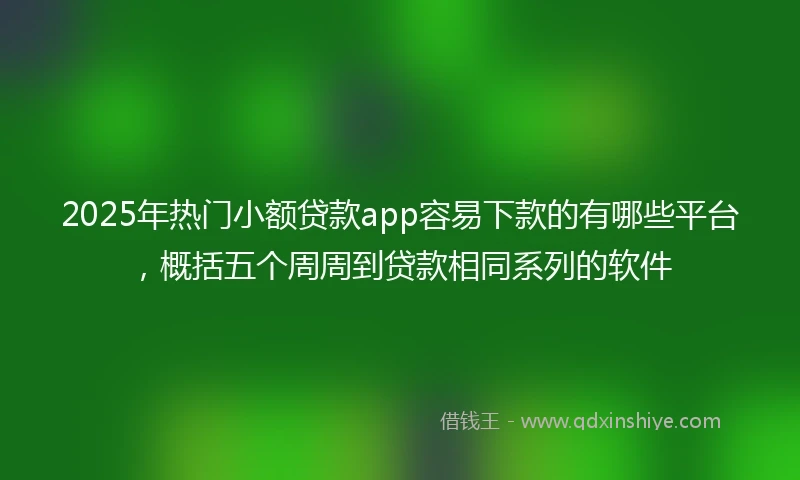 2025年热门小额贷款app容易下款的有哪些平台，概括五个周周到贷款相同系列的软件