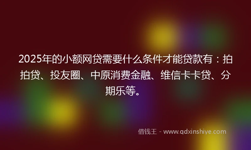 2025年的小额网贷需要什么条件才能贷款有：拍拍贷、投友圈、中原消费金融、维信卡卡贷、分期乐等。