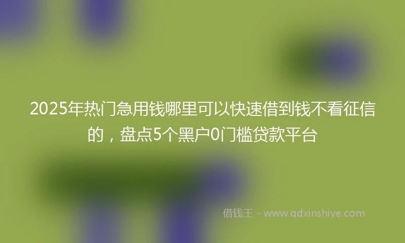 2025年热门急用钱哪里可以快速借到钱不看征信的，盘点5个黑户0门槛贷款平台
