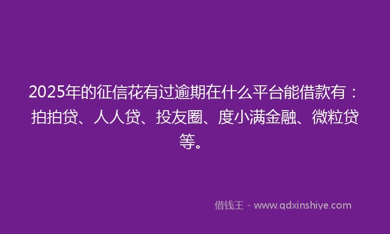 2025年的征信花有过逾期在什么平台能借款有：拍拍贷、人人贷、投友圈、度小满金融、微粒贷等。