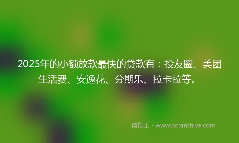 2025年的小额放款最快的贷款有：投友圈、美团生活费、安逸花、分期乐、拉卡拉等。