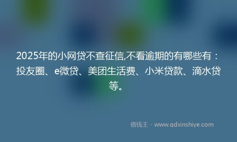 2025年的小网贷不查征信,不看逾期的有哪些有：投友圈、e微贷、美团生活费、小米贷款、滴水贷等。