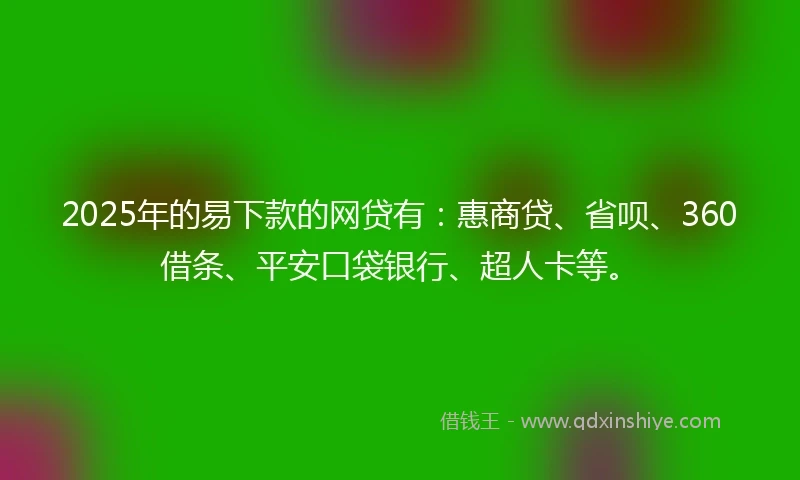 2025年的易下款的网贷有：惠商贷、省呗、360借条、平安口袋银行、超人卡等。