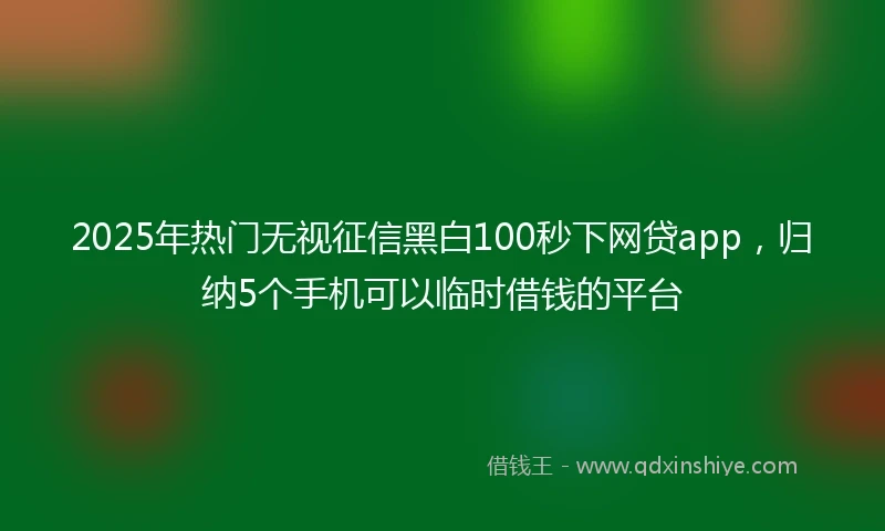 2025年热门无视征信黑白100秒下网贷app，归纳5个手机可以临时借钱的平台