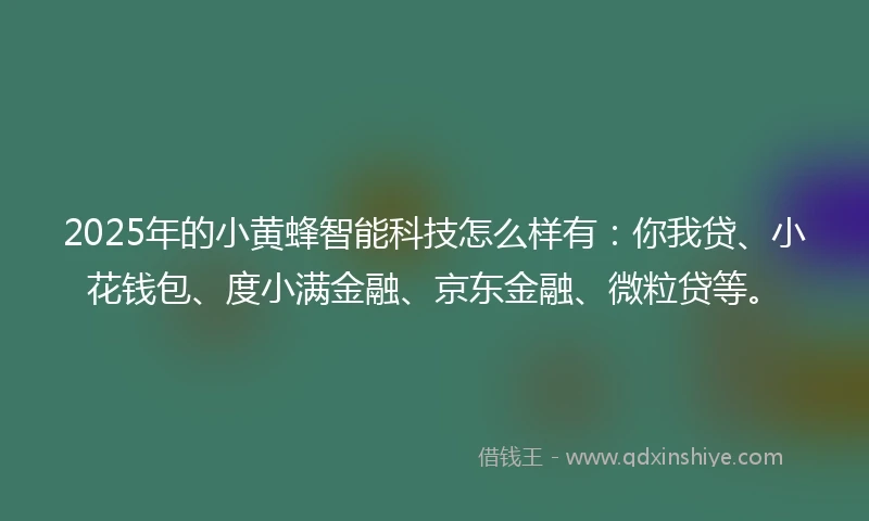 2025年的小黄蜂智能科技怎么样有：你我贷、小花钱包、度小满金融、京东金融、微粒贷等。