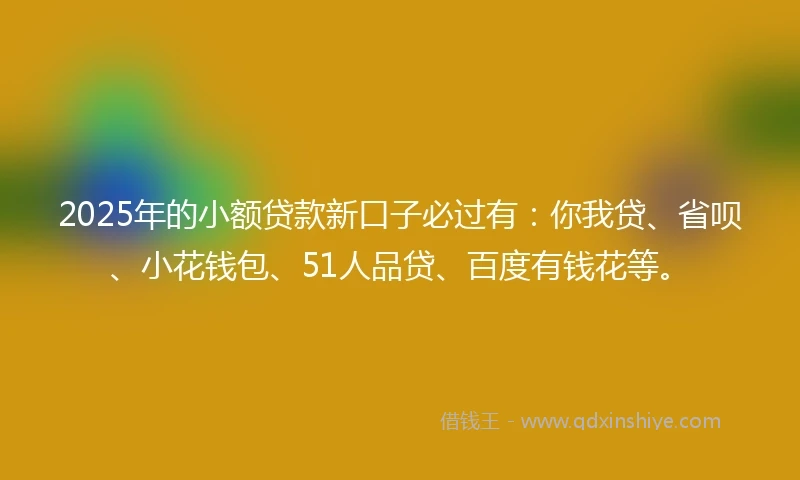 2025年的小额贷款新口子必过有：你我贷、省呗、小花钱包、51人品贷、百度有钱花等。